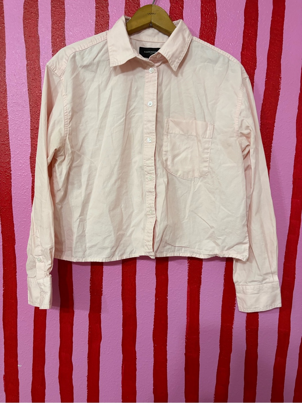 Banana Republic Pale Pink Cropped Button-Down Shirt